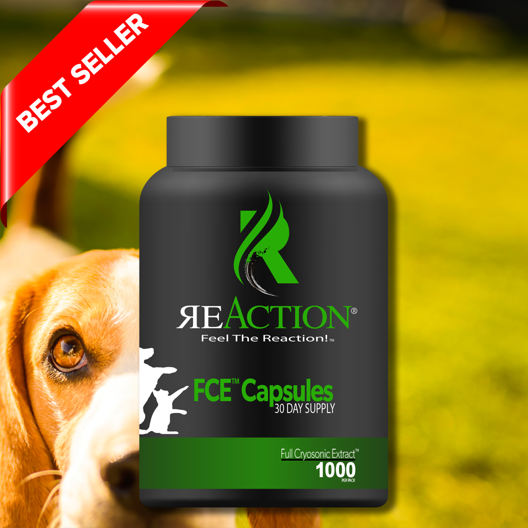 1000mg 30 Day FCE™ Capsules – Jennaz.shop